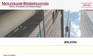 http://www.molenkampbedrijfsadvies.nl/